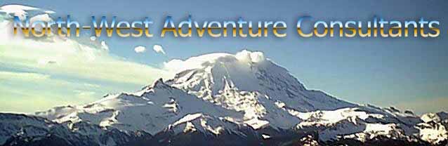 east face of Mt. Rainer